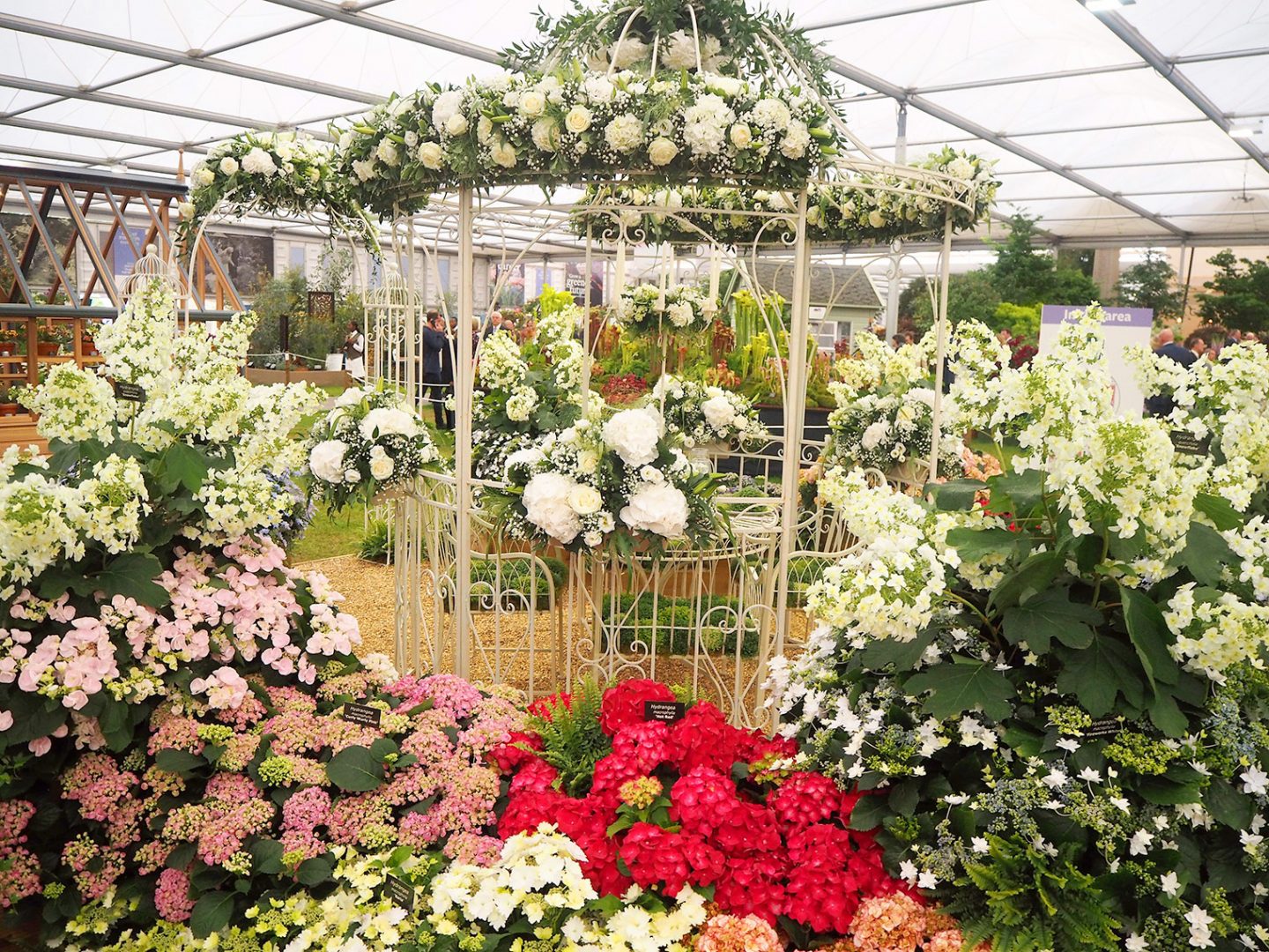 Chelsea flower show 2018 preview