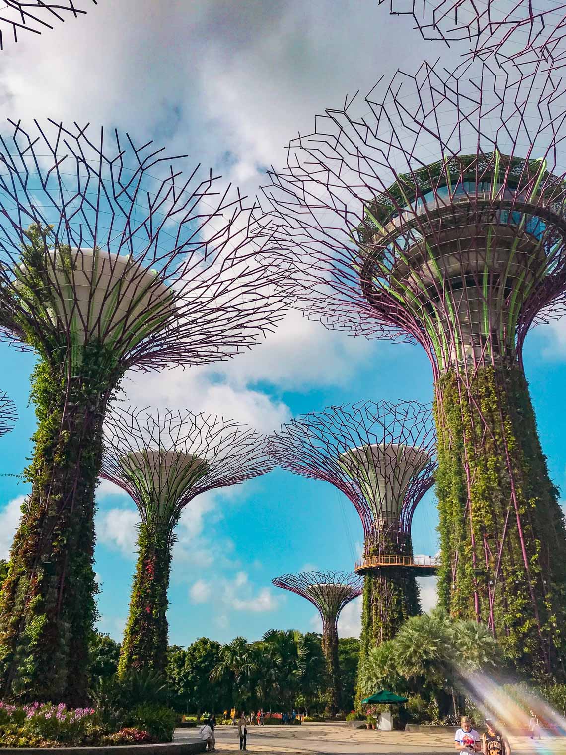 Gardens by the Bay Singapore supertrees