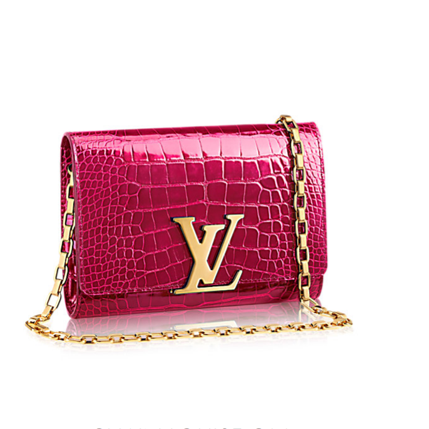 Louis Vuitton chain Louis bag