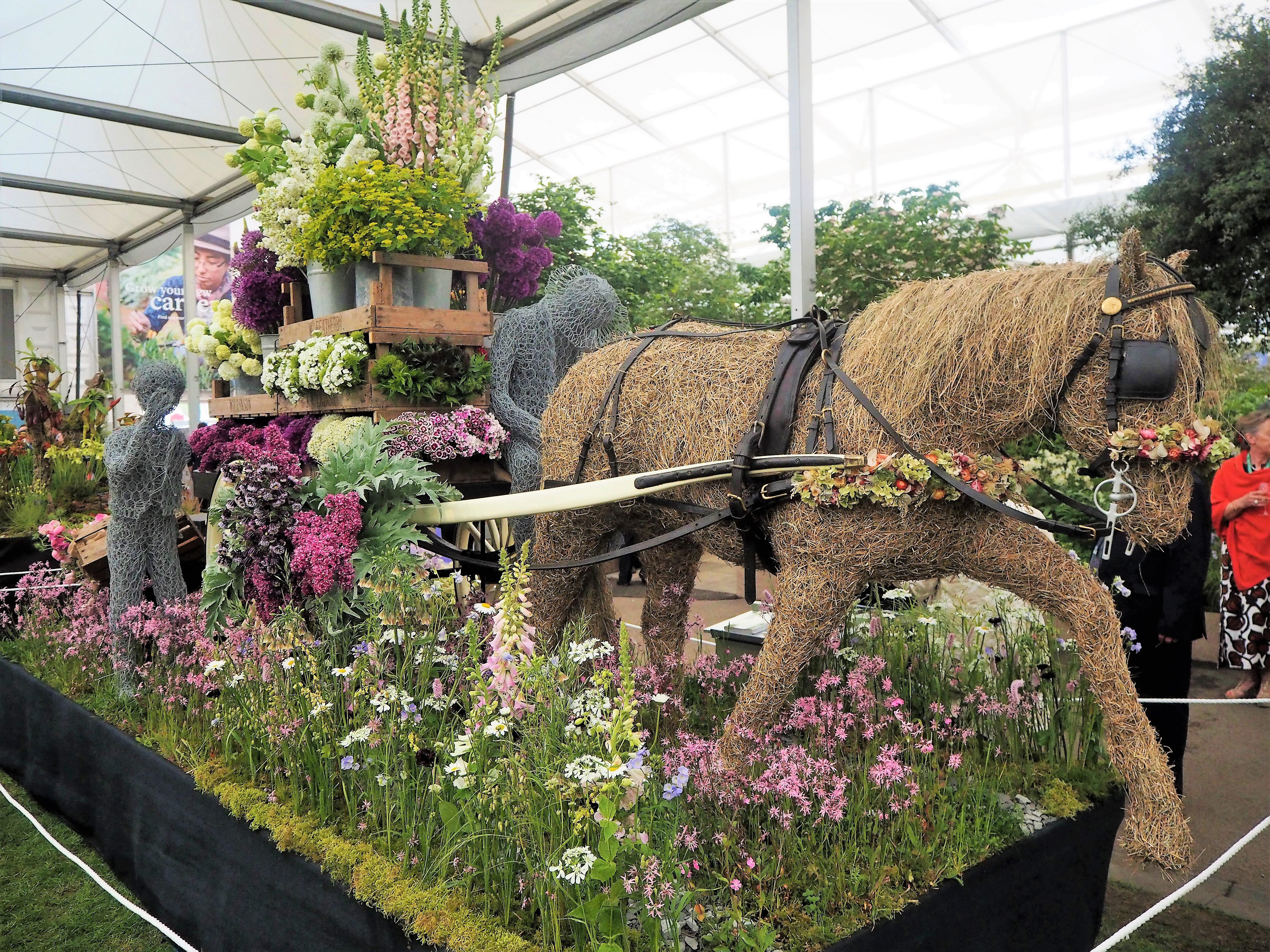 Flower display at Chelsea flower show 2018