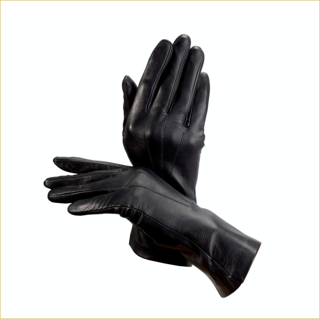 Aspinal leather gloves